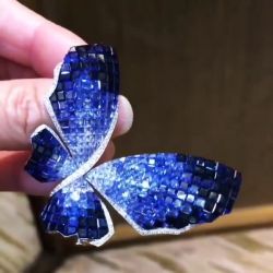 Stunning Sapphire Butterfly Brooch